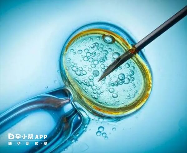 三代试管需要提供无健康卵子证明