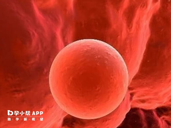 胚胎着床可能会出血