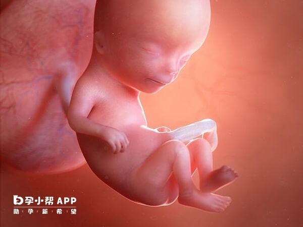 孕12周胎盘成熟可以减药