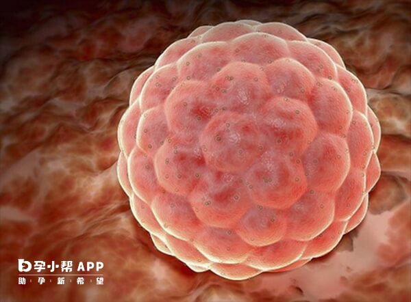 胚胎着床会导致宫缩出血