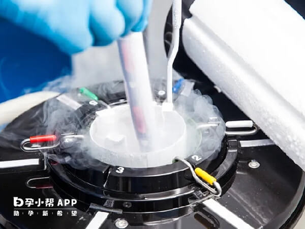 鲜胚冷冻细胞数减少与冷冻技术有关