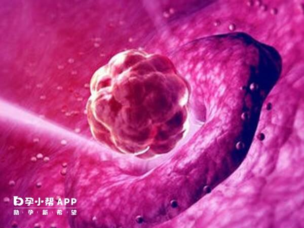 子宫内膜要适宜才能鲜胚移植