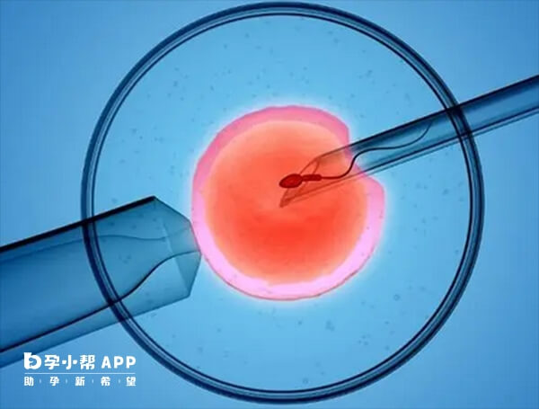 囊胚移植14天血hcg不是固定值