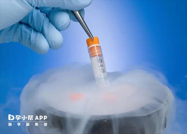 冻胚移植需要内膜达到8到12mm