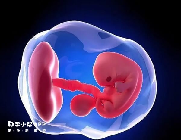 鲜胚移植后的第21天肚子坠疼出血是怎么