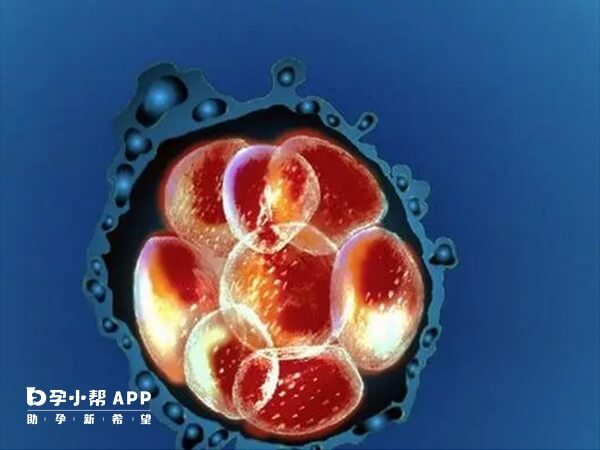 移植后发冷可能是由于胚胎发育引起的