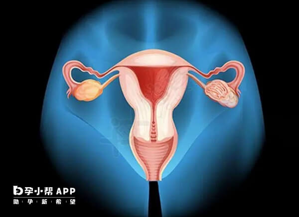 打降调后子宫内膜呈线状可以进行冻胚移