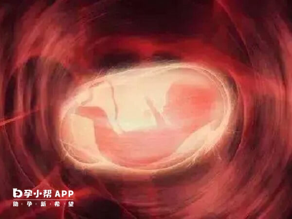试管婴儿怀孕九周有胎心胎芽也可能胎停