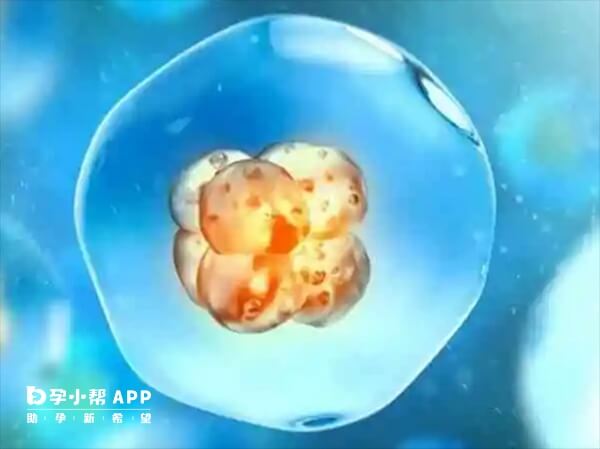 质量差的胚胎移植后要按时产检