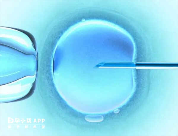 胚胎质量低可能引起流产