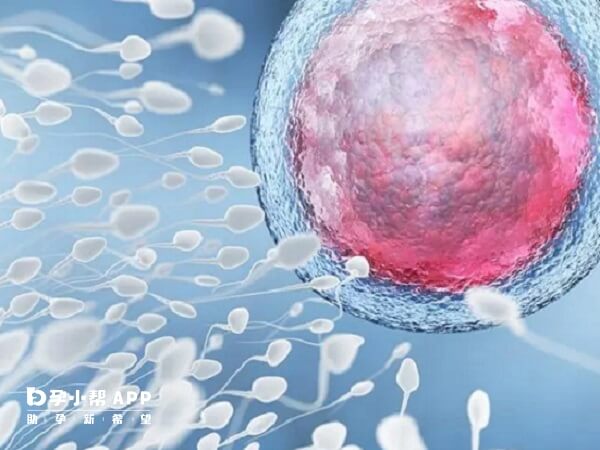 试管婴儿移植前泌乳素值高达30会影响胚胎着床