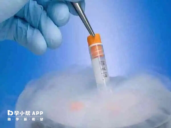 冷冻胚胎良好情况下成功率可以达到60%以上