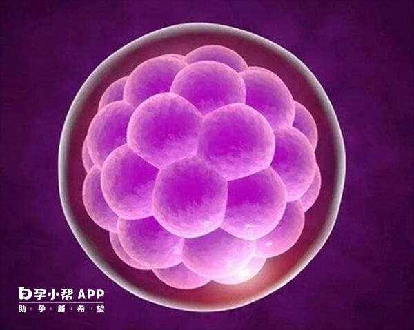 胚胎着床会导致激素水平升高