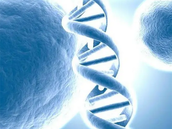 盘状红斑狼疮30年了能做三代试管婴儿生育避免遗传吗？