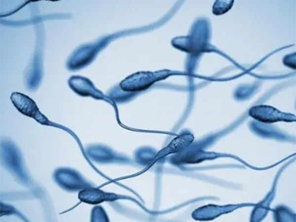 精子存活率55只能试管婴儿了吗？2方式提高自然受孕率