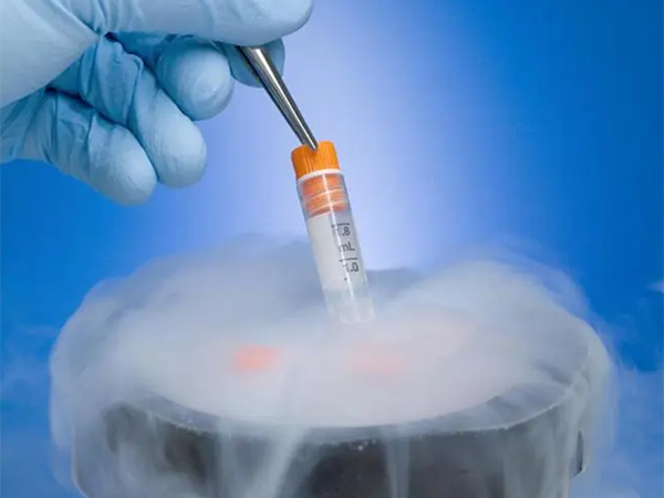 冻胚进入周期到移植要多久？看完具体流程就清楚了