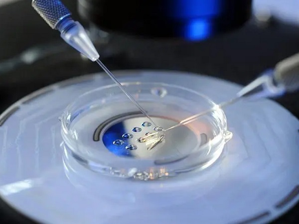 只有一颗d3冷冻胚胎能不养囊直接移植吗？成功率有多高？