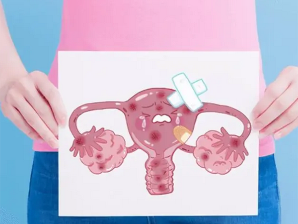 子宫内膜转化后变薄可以移植两个胚胎到内膜上吗？