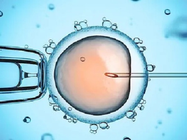 想拿别人的胚胎做试管婴儿可以吗？附借卵条件说明