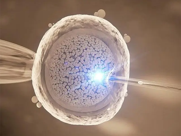 人工周期雌激素多少能移植？附胚胎移植前雌二醇的标准值
