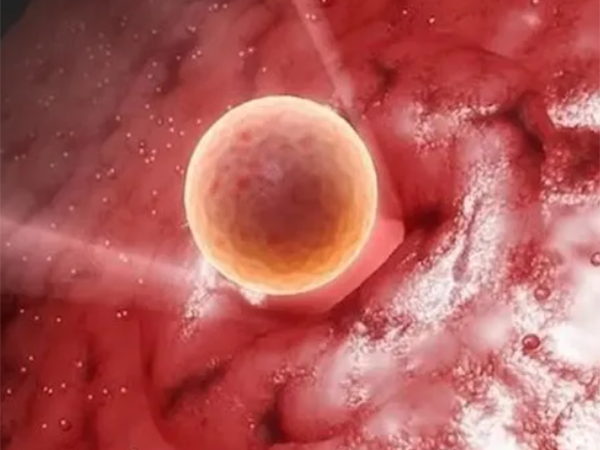 肚子里热烘烘的感觉有一股暖流涌过是胚胎着床了吗？
