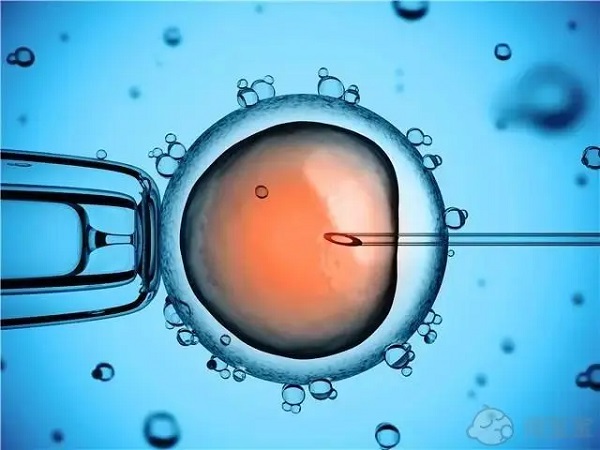 国内做试管婴儿能不能购买别人胚胎移植？合法吗？