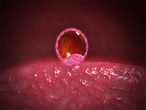 第二次做试管婴儿移植优质囊胚又是葡萄胎怎么办？