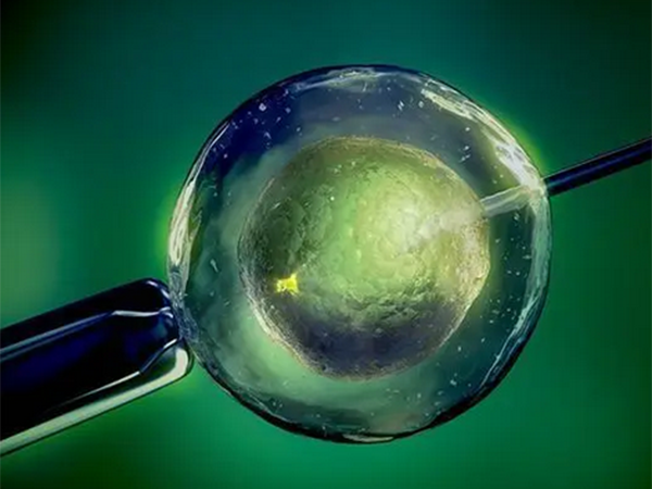 试管婴儿移植后盖被子睡觉胚胎会怕热吗？