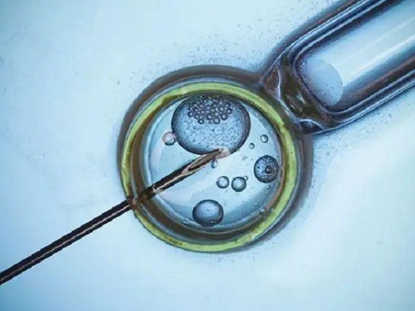 移植前孕酮1.5可以移植鲜胚么？成功率高吗？