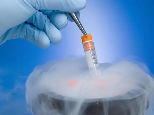 冻胚移植第三天胚胎状况怎么样？是在游走还是已经着床？
