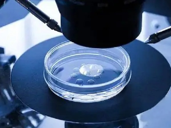 三级胚胎等级低有必要养囊吗？有没有成功逆袭案例？