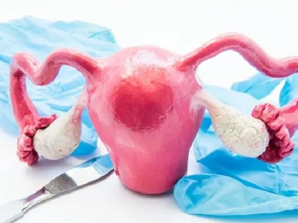刮宫对试管婴儿成功的好处是有利于胚胎着床吗？