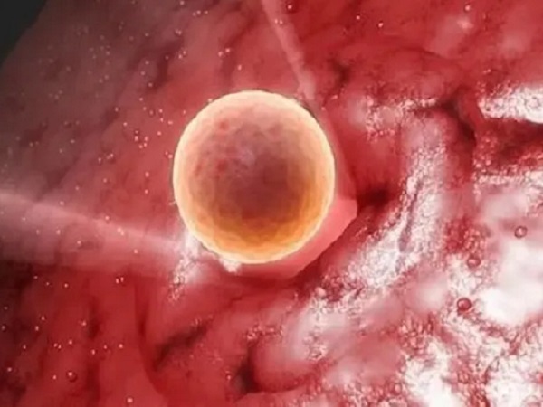 胚胎着床后下一步该干嘛了？是吃药保胎还是去医院检查？