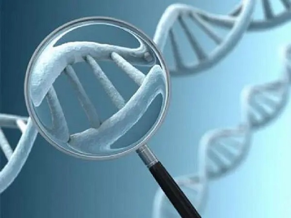 染色体易位是家族遗传的可以做三代试管婴儿阻断吗？