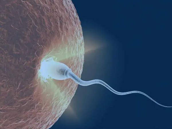 200个精子只有3个正常197个畸形能做试管婴儿生孩子吗？
