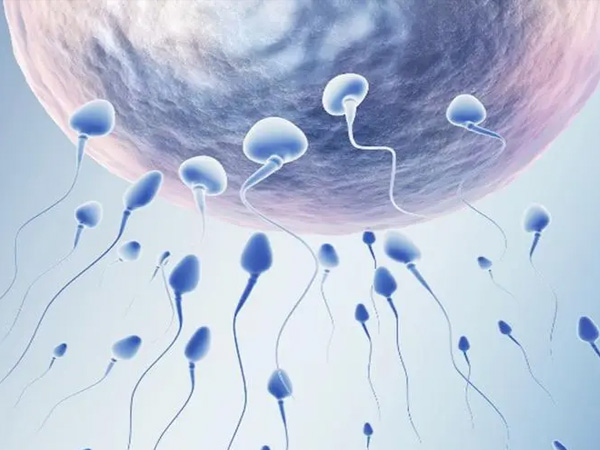 精子质量好做试管婴儿为什么还要做一代备二代？