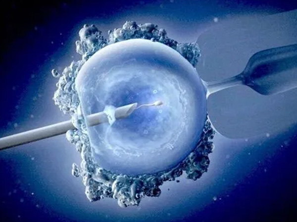 试管婴儿一代不受精转二代补救几天能出胚胎配成结果？