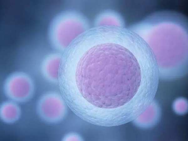 冷冻的胚胎解冻后还能转三代试管婴儿进行基因筛查吗？