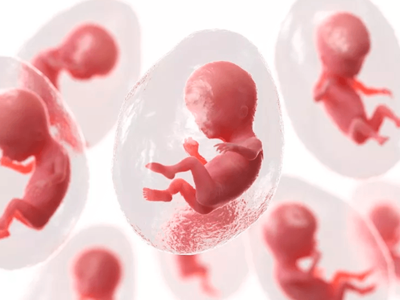 一代、二代、三代试管婴儿助孕流程有什么区别？