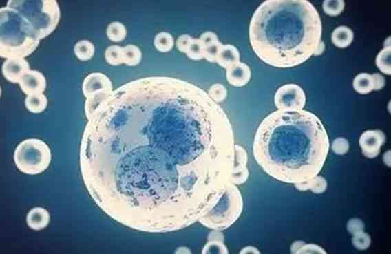 胚胎着床成功之后还会移动或是游走到宫外其它位置吗？