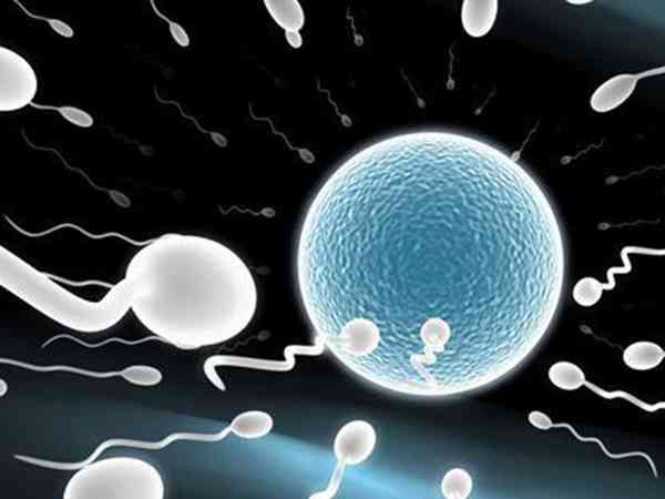 宫腔人工授精的植入精子的步骤是怎么样的？