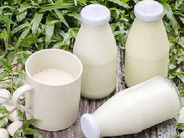 胚胎移植后喝鲜牛奶补钙是早上喝好还是晚上喝好？