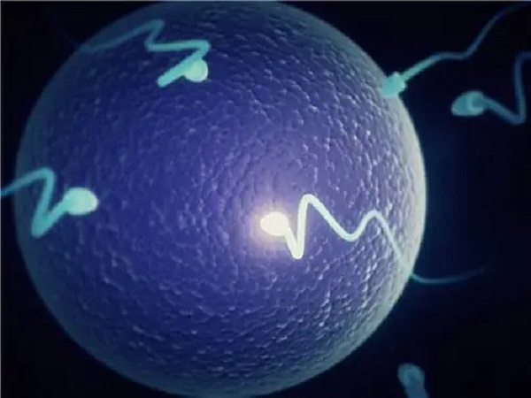 女性抗精子抗体阳性可以做一代试管婴儿吗？