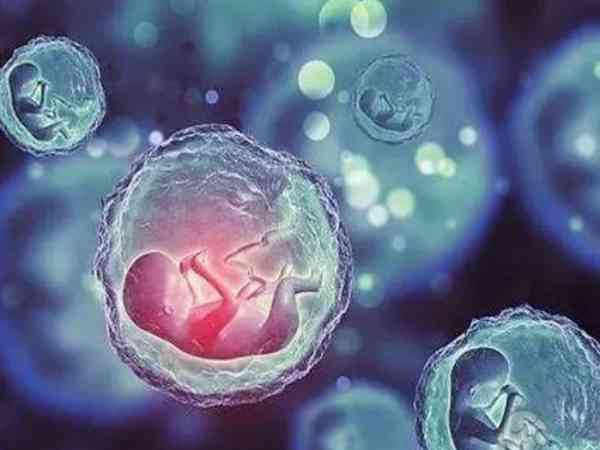 抗卵巢抗体阳性可以直接做试管婴儿生孩子吗？