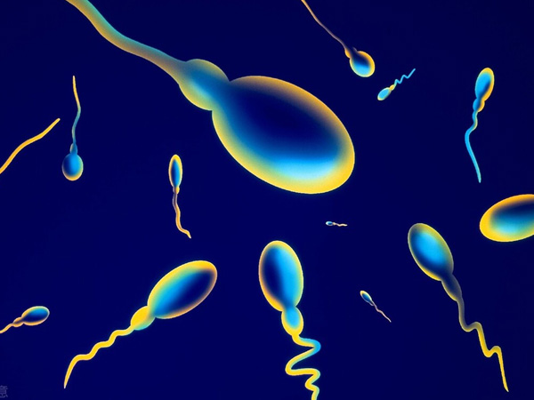 精子活力低取精后未见活动精子能做二代试管婴儿吗？