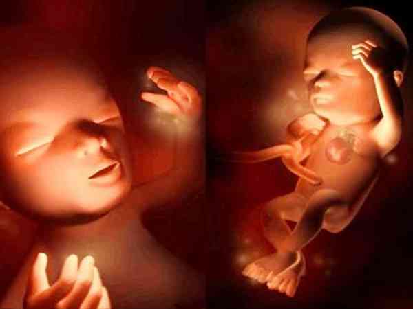 异卵和同卵双胞胎有什么区别？怎么才能怀异卵双胞胎？