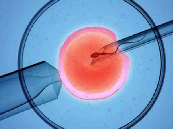 囊胚移植成功后多少天做b超可以看到有胎盘形成？