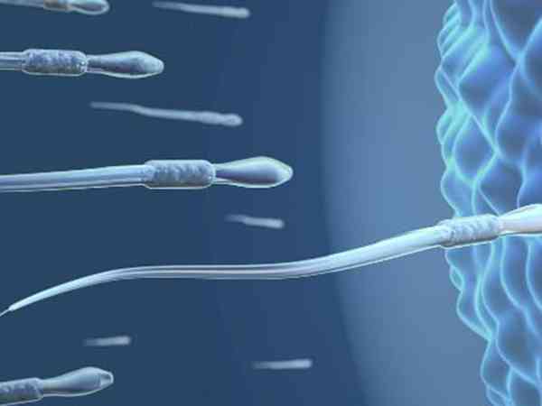 精子成活率低会影响胚胎发育甚至导致胎停吗？