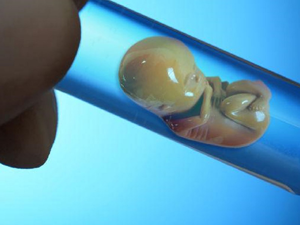 石家庄本地的生殖助孕医院做三代试管婴儿技术好吗？