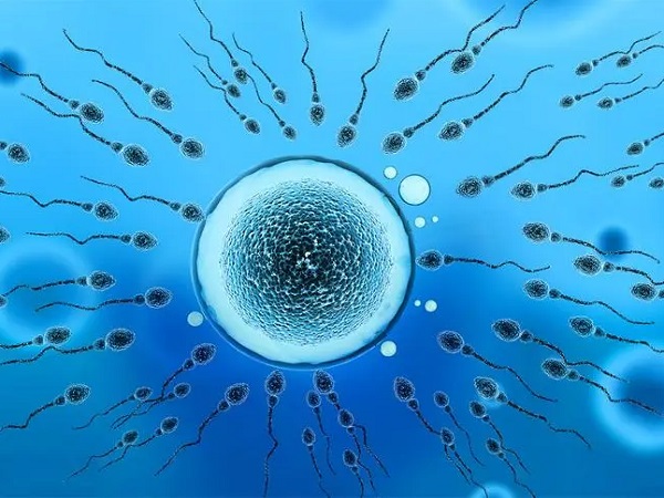 夫妻精子卵子都合格但就是不结合互斥怎么办？